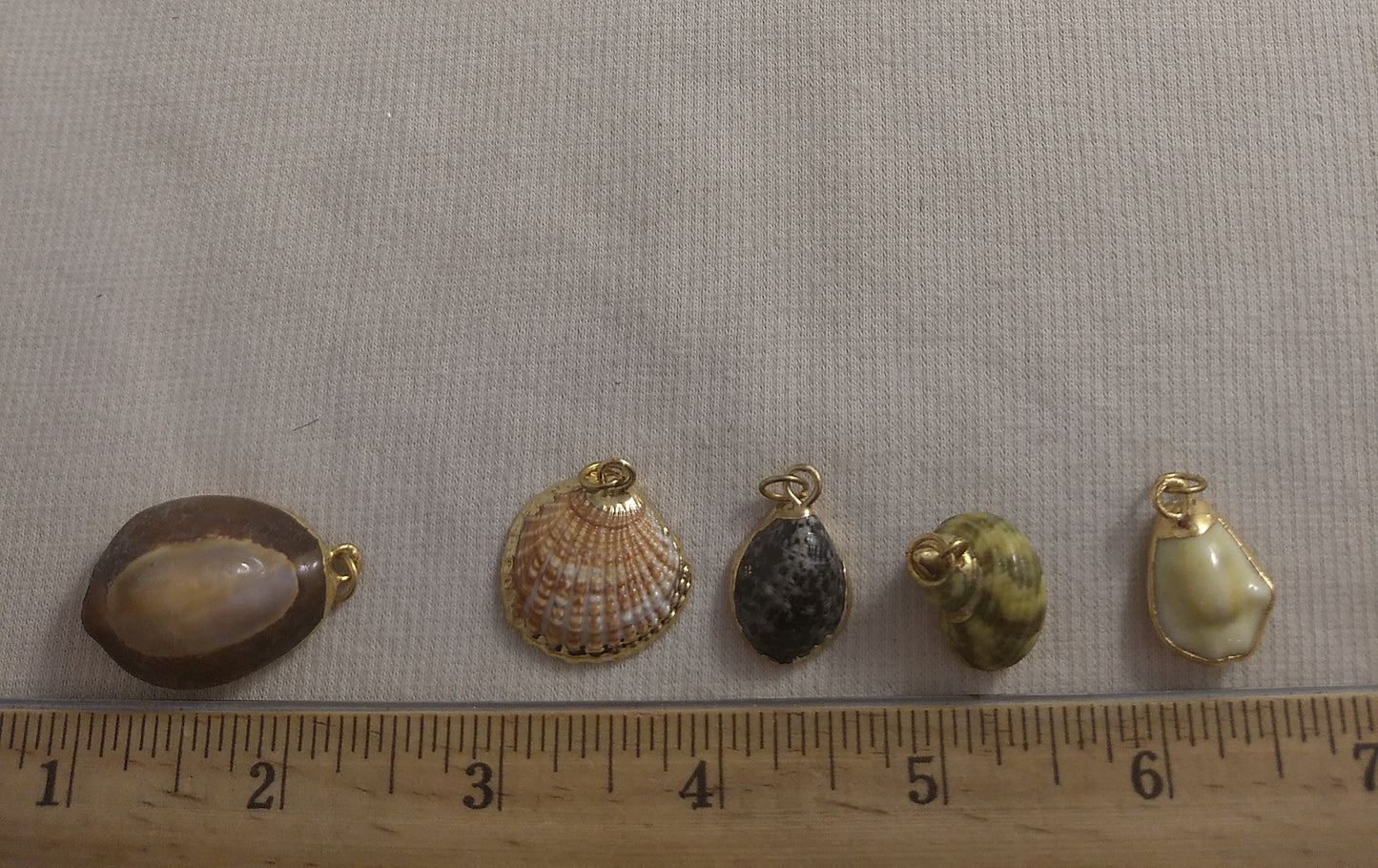 Pendant #SS19 #Natural #Gold-Plated #Sea-Shell #Charm #1pk