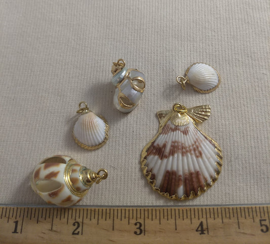 Pendant  #SS1  #Natural #Gold-Plated #Sea-Shell #Charm #1pk