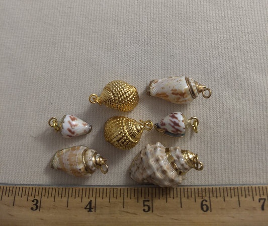 Pendant  #SS2  #Natural #Gold-Plated #Sea-Shell #Charm #1pk