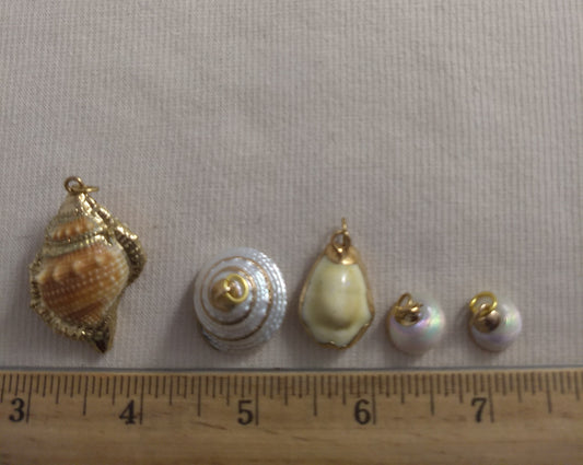 Pendant  #SS3  #Natural #Gold-Plated #Sea-Shell #Charm #1pk