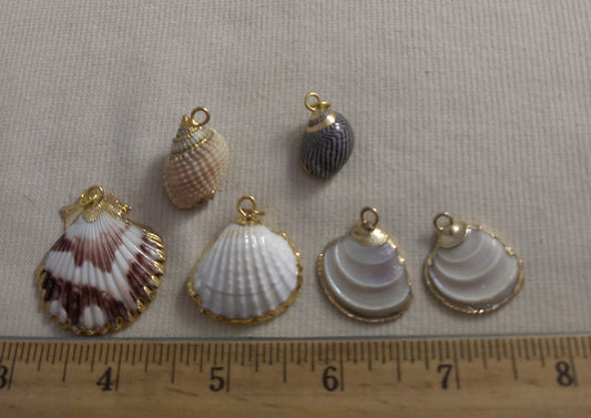 Pendant  #SS5  #Natural #Gold-Plated #Sea-Shell #Charm #1pk