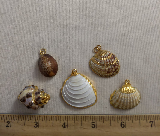 Pendant  #SS8  #Natural #Gold-Plated #Sea-Shell #Charm #1pk