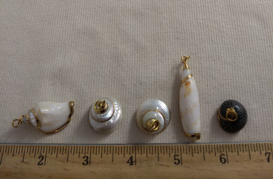 Pendant  #SS9 #Natural #Gold-Plated #Sea-Shell #Charm #1pk