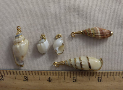 Pendant  #SS13 #Natural #Gold-Plated #Sea-Shell #Charm #1pk