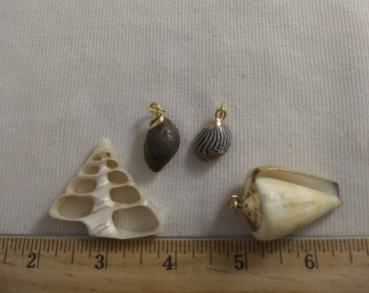 Pendant  #SS13 #Natural #Gold-Plated #Sea-Shell #Charm #1pk