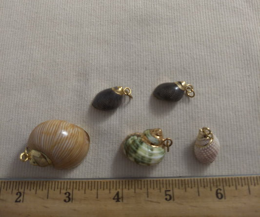 Pendant  #SS15 #Natural #Gold-Plated #Sea-Shell #Charm #1pk