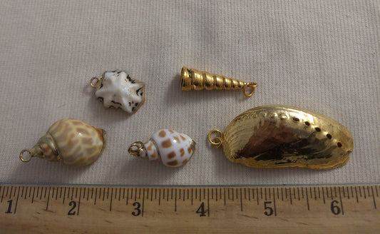 Pendant  #SS102 #Natural #Gold-Plated #Sea-Shell #Charm #1pk