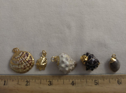 Pendant  #SS17 #Natural #Gold-Plated #Sea-Shell #Charm #1pk