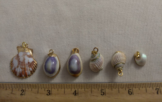 Pendant  #SS22 #Natural #Gold-Plated #Sea-Shell #Charm #1pk