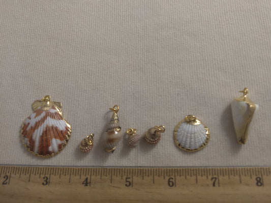 Pendant  #SS24 #Natural #Gold-Plated #Sea-Shell #Charm #1pk