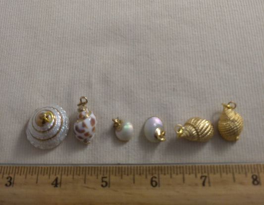 Pendant  #SS25 #Natural #Gold-Plated #Sea-Shell #Charm #1pk