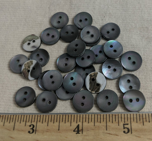 Button #Trochus #2 Hole #Black #Shell #10pc